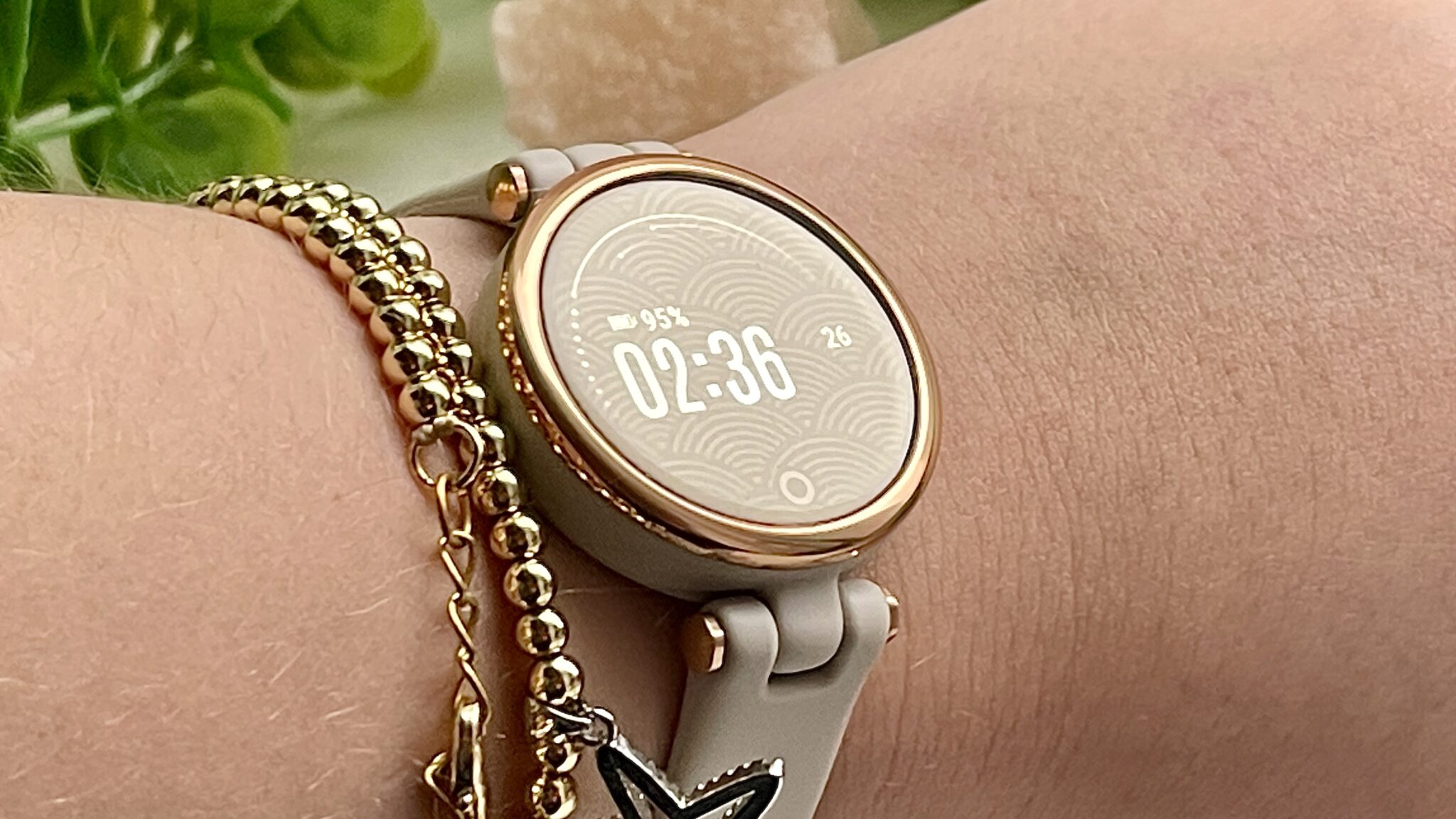 garmin lily buy